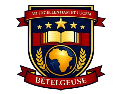 ecoledecommercedelyon-abidjan.com